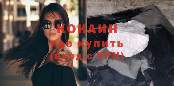 крисы Ельня