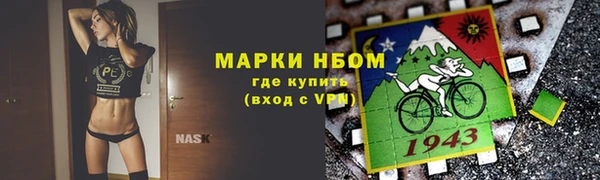 крисы Ельня
