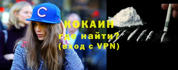 крисы Ельня