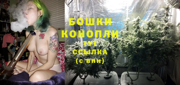 ешки Елизово