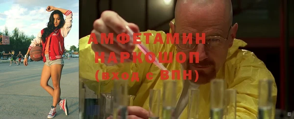 крисы Ельня