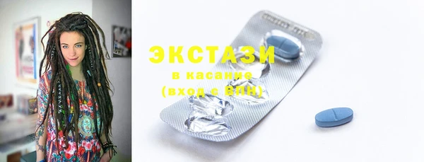 крисы Ельня
