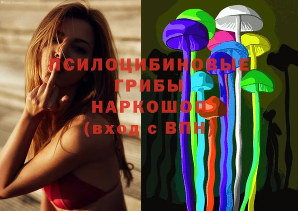 не бодяженный Заводоуковск