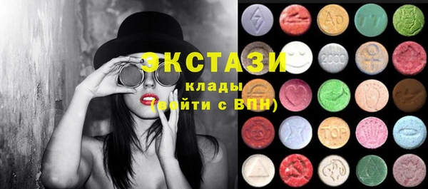 крисы Ельня