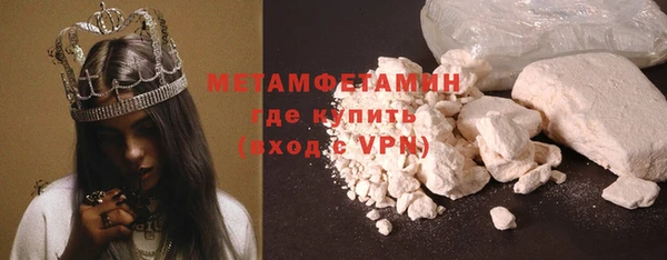 крисы Ельня