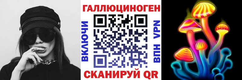 Купить где Жирновск Псилоцибиновые грибы мицелий