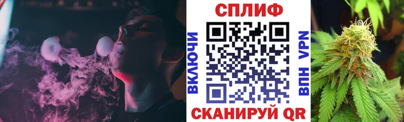 Купить где Жирновск Марихуана Amnesia
