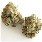 Шишки "White Widow"  (Белая вдова)  Гидропоника -  Бошка VHQ в Жирновске
